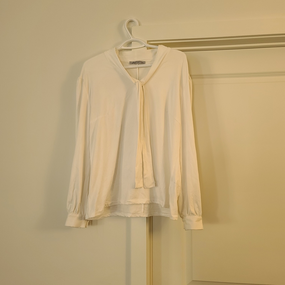 Elegant Cream Tie-Neck Blouse